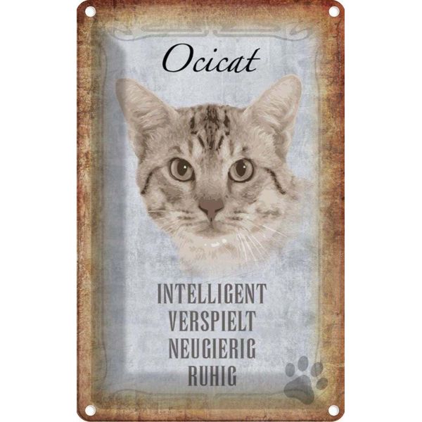 Vianmo Insegna Di Latta 30X20 Cm Ocicat Katze Verspielt-image