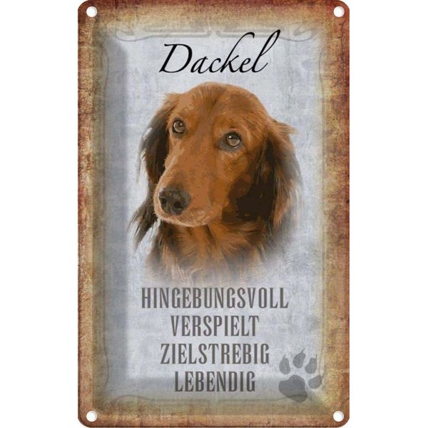 Vianmo Insegna Di Latta 30X20 Cm Dackel Hund Lebendig-image