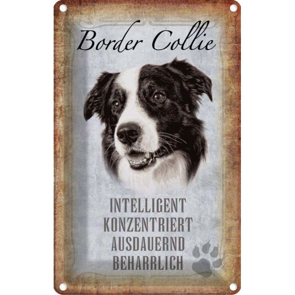Vianmo Insegna Di Latta 18X12 Cm Border Collie Hund-image