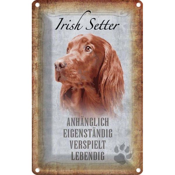 Vianmo Insegna Di Latta 30X20 Cm Irish Setter Hund-image