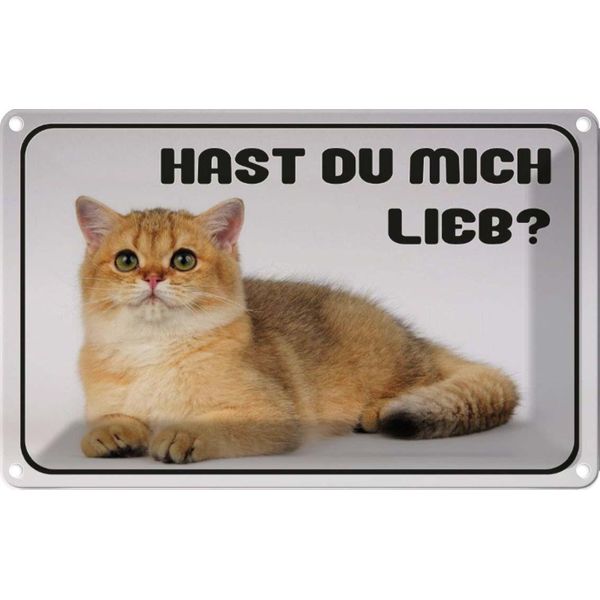 Vianmo Insegna Di Latta 12X18 Cm Katze Hast Du Mich Lieb?-image