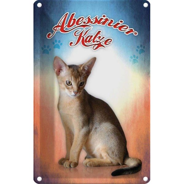 Vianmo Insegna Di Latta 30X20 Cm Katze Abessinier Katze-image