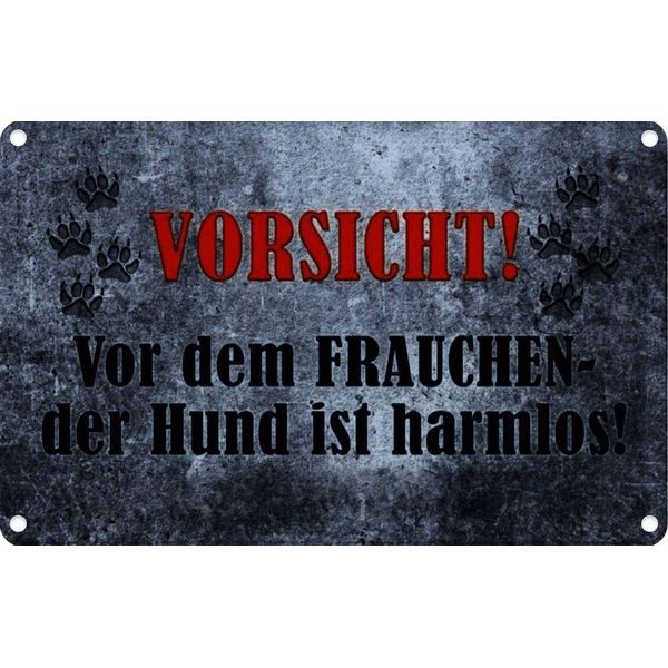 Vianmo Insegna Di Latta 20X30 Cm Vorsicht Frau Hund Harmlos-image