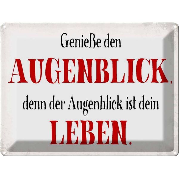 Vianmo Insegna Di Latta 30X40 Cm GenießE Den Augenblick Leben-image