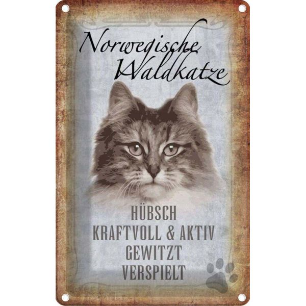 Vianmo Insegna Di Latta 18X12 Cm Norvegische Waldkatze Katze Wanddeco-image