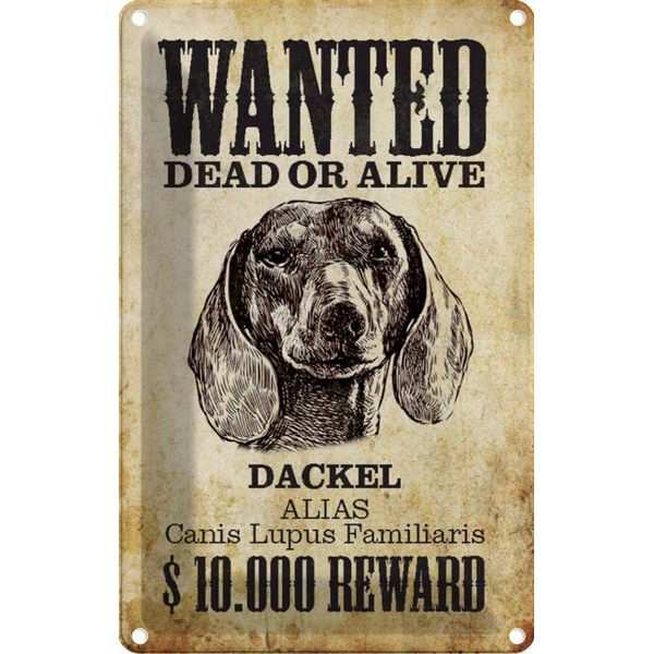 Vianmo Insegna Di Latta 30X20 Cm Hund Wanted Dead Dackel Alias-image