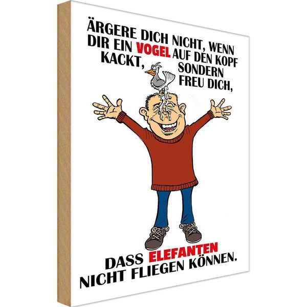Vianmo Insegna In Legno 30X20 Cm äRgere Dich Nicht Wenn Ein Vogel-image