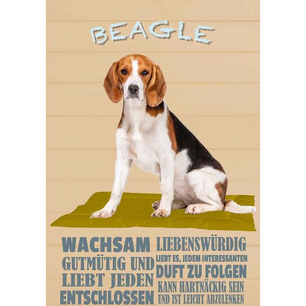 Vianmo Insegna In Legno 18X12 Cm Beagle Hund GutmüTig Liebt Jeden-image