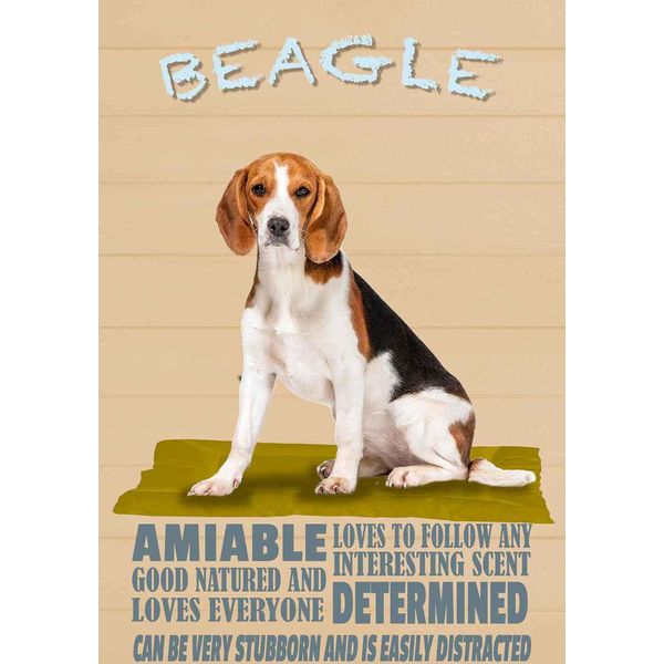 Vianmo Insegna In Legno 18X12 Cm Beagle Hund Loves To Follow Any-image