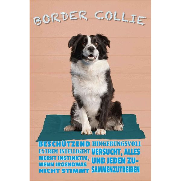 Vianmo Insegna In Legno 18X12 Cm Border Collie Hund Intelligent-image