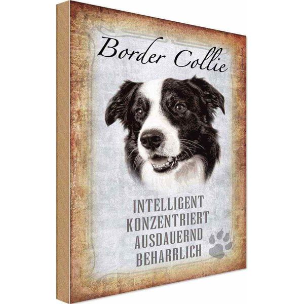 Vianmo Insegna In Legno 30X20 Cm Border Collie Hund-image