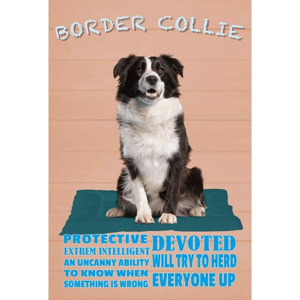 Vianmo Insegna In Legno 30X20 Cm Border Collie Hund Protective-image