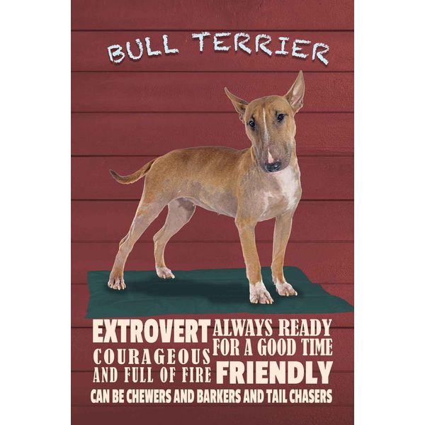 Vianmo Insegna In Legno 18X12 Cm Bullterrier Hund Always Ready-image