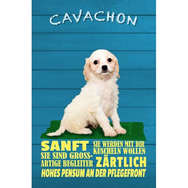 Vianmo Insegna In Legno 30X20 Cm Cavachon Hund Sanft ZäRtlich-image