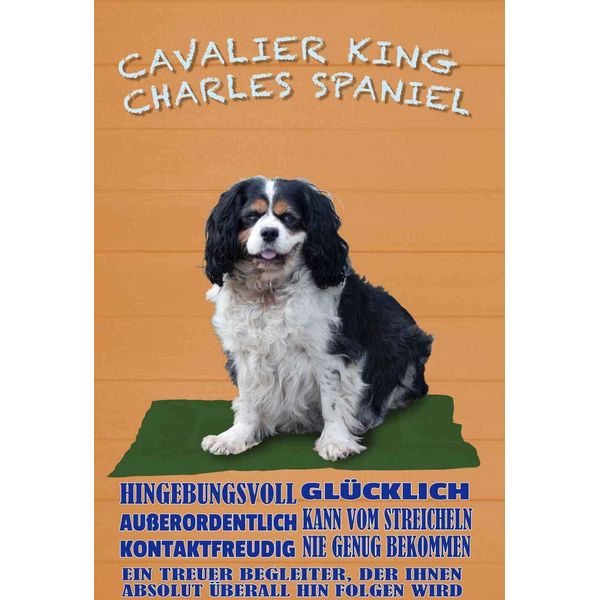 Vianmo Insegna In Legno 30X20 Cm Cavalier King Charles Spaniel-image