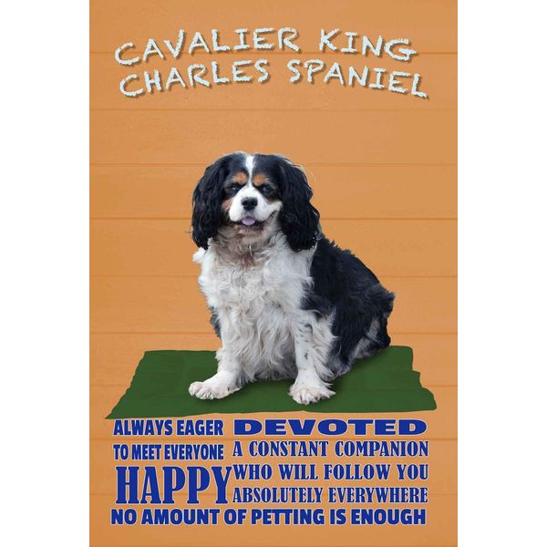 Vianmo Insegna In Legno 30X20 Cm Cavalier King Charles Spaniel-image