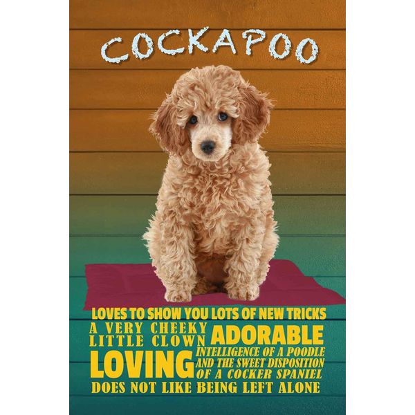 Vianmo Insegna In Legno 30X20 Cm Cockapoo Hund Loves To Show You-image
