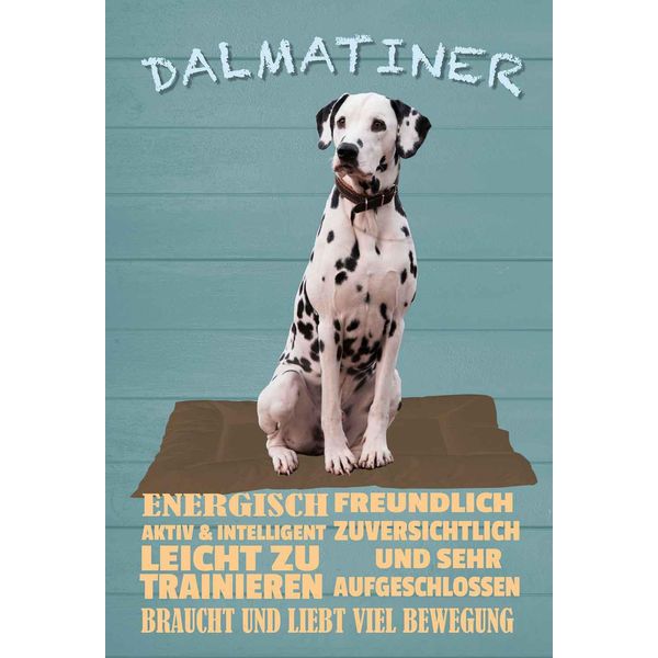 Vianmo Insegna In Legno 30X20 Cm Dalmatiner Hund Energisch Aktiv-image