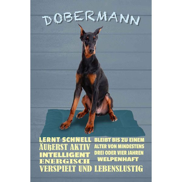 Vianmo Insegna In Legno 18X12 Cm Dobermann Lernt Schnell Hund-image