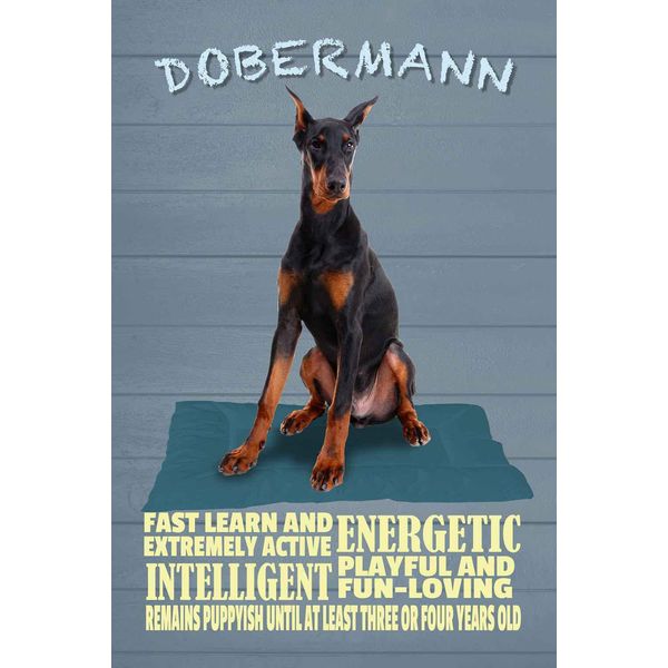 Vianmo Insegna In Legno 30X20 Cm Dobermann Hund Fast Learn And-image