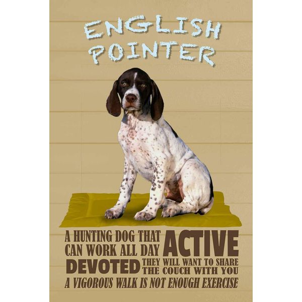 Vianmo Insegna In Legno 30X20 Cm English Pointer Hund Active-image