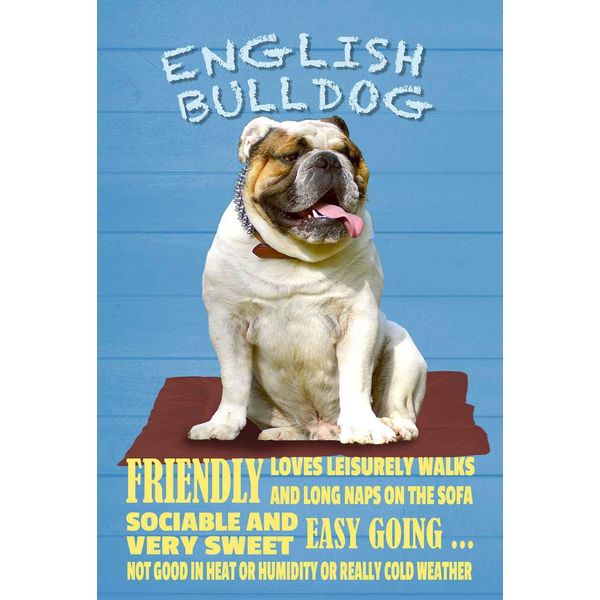 Vianmo Insegna In Legno 30X20 Cm English Bulldog Hund Friendly-image