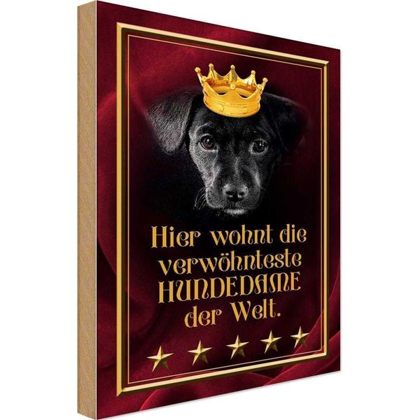 Vianmo Insegna In Legno 30X20 Cm Hier Wohnt Hundedame Der Welt-image