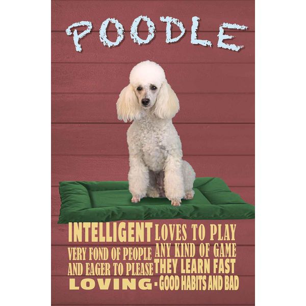 Vianmo Insegna In Legno 18X12 Cm Hund Poodle Loves To Play-image