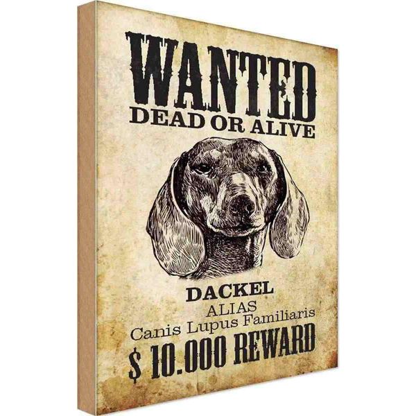 Vianmo Insegna In Legno 30X20 Cm Hund Wanted Dead Dackel Alias-image
