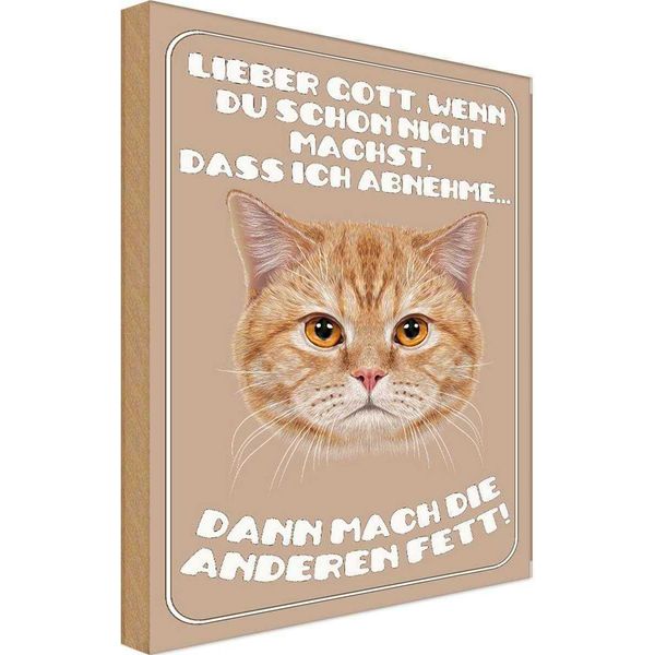 Vianmo Insegna In Legno 18X12 Cm Katze Lieber Gott Wenn Du Schon Nicht-image