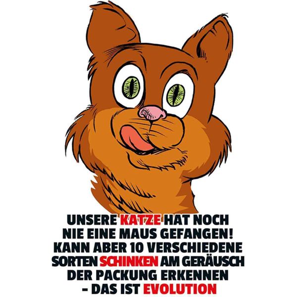 Vianmo Insegna In Legno 30X20 Cm Katze Hat Noch Nie Maus Gefangen-image