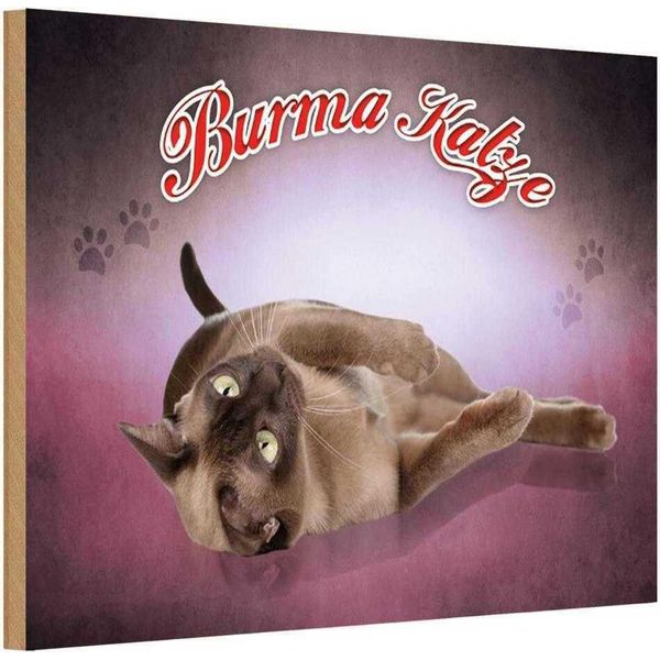 Vianmo Insegna In Legno 12X18 Cm Katze Burma Katze-image