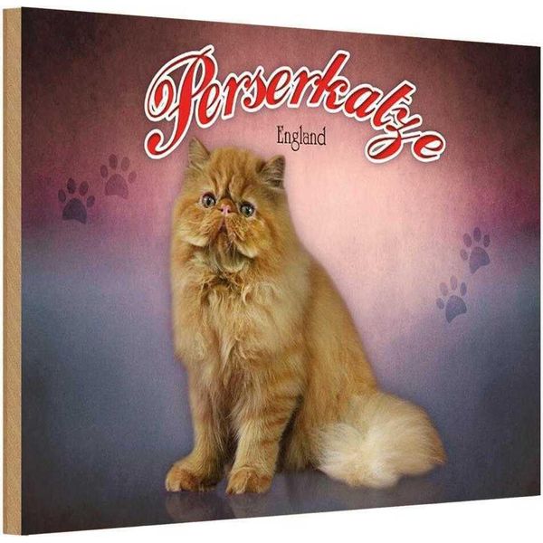 Vianmo Insegna In Legno 12X18 Cm Katze Perserkatze England-image