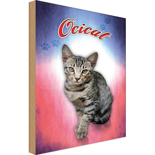 Vianmo Insegna In Legno 18X12 Cm Katze Ocicat-image