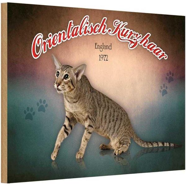 Vianmo Insegna In Legno 12X18 Cm Katze Orientalisch Kurzhaar England-image