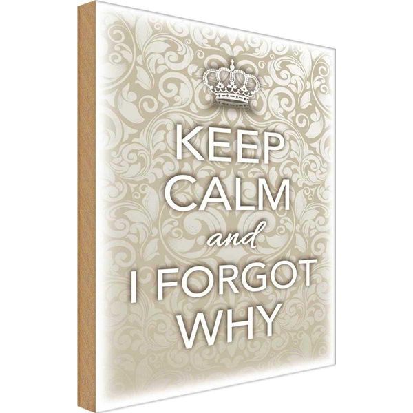 Vianmo Insegna In Legno 18X12 Cm Keep Calm And I Forgot Why-image