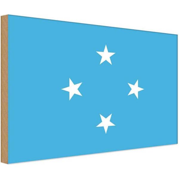 Vianmo Insegna In Legno 12X18 Cm Bandiera Mikronesiens Flag Micronesia-image
