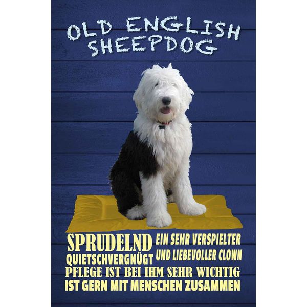 Vianmo Insegna In Legno 30X20 Cm Old English Sheepdog Hund-image