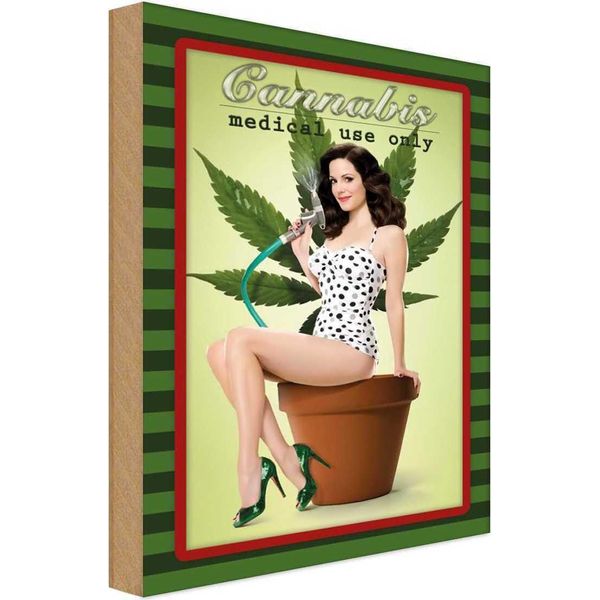 Vianmo Insegna In Legno 18X12 Cm Pinup Cannabis Medical Use Only-image