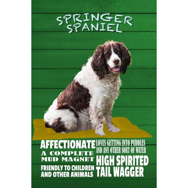Vianmo Insegna In Legno 30X20 Cm Springer Spaniel Hund Friendly-image