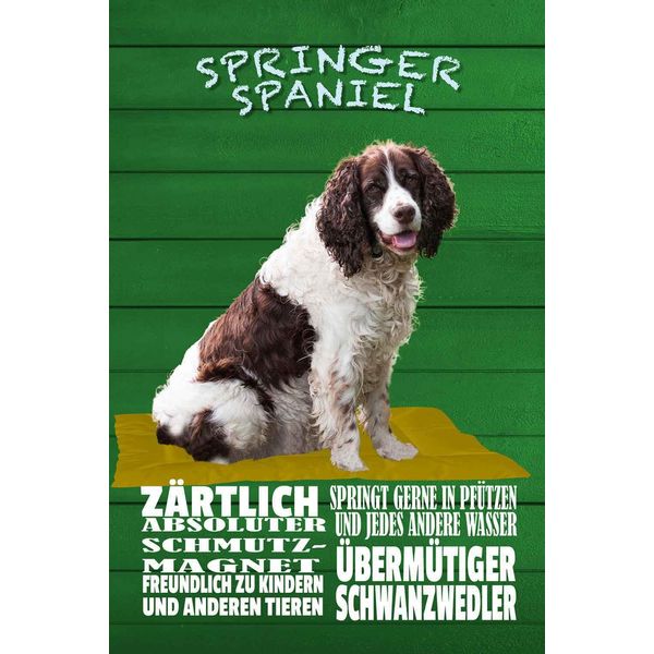 Vianmo Insegna In Legno 30X20 Cm Springer Spaniel Hund ZäRtlich-image
