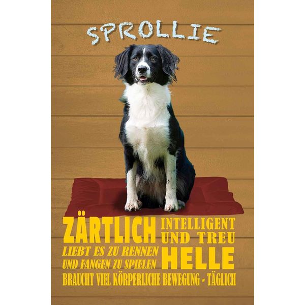 Vianmo Insegna In Legno 30X20 Cm Sprollie Hund ZäRtlich Und Treu-image