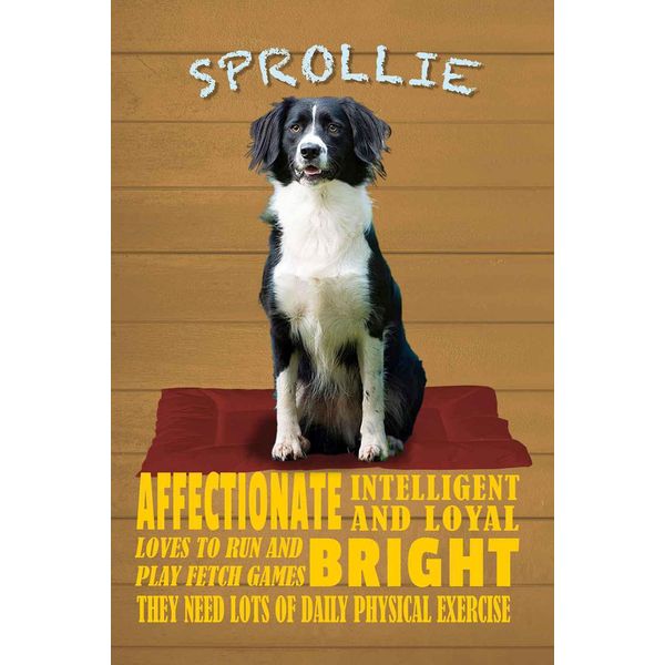 Vianmo Insegna In Legno 18X12 Cm Sprollie Hund Intelligent Loyal-image