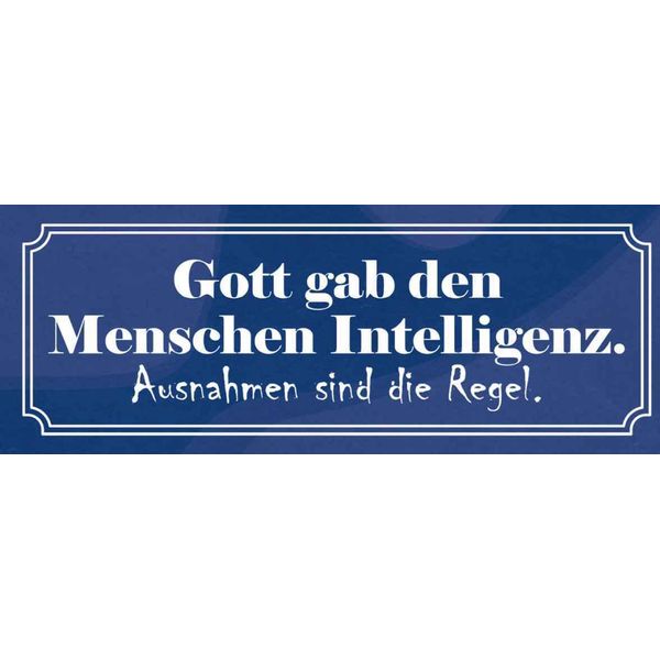Vianmo Insegna In Legno 10X27 Cm Gott Gab Menschen Intelligenz-image