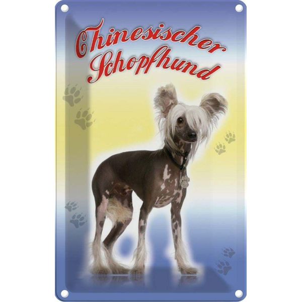 Vianmo Insegna Di Latta 30X20 Cm Hund Chinesischer Schopfhund-image