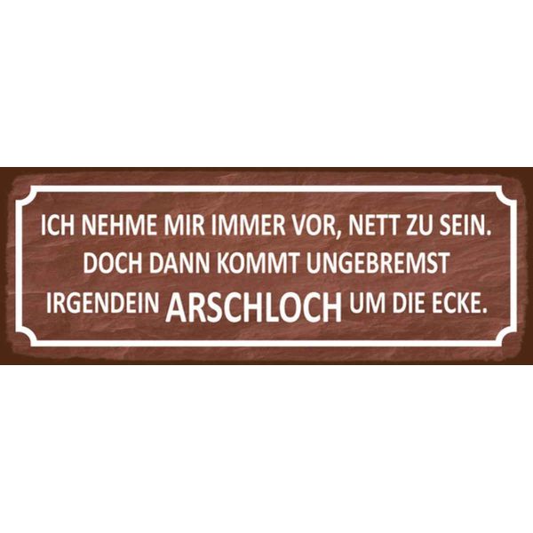 Vianmo Insegna In Legno 10X27 Cm Ich Immer Nett Doch Arschloch-image