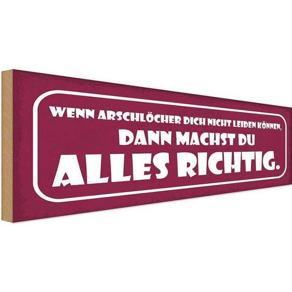 Vianmo Insegna In Legno 10X27 Cm Wenn ArschlöCher Dich Nicht-image