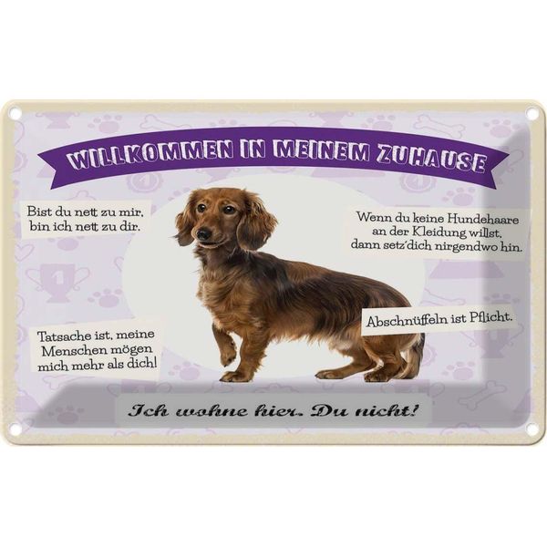 Vianmo Insegna Di Latta 20X30 Cm Tiere Dackel Willkommen Wohne Hier-image