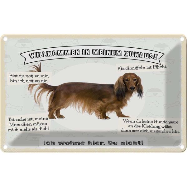 Vianmo Insegna Di Latta 12X18 Cm Tiere Hund Ich Wohne Hier Du Nicht-image