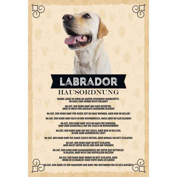 Vianmo Insegna In Legno 30X20 Cm Tiere Labrador Hausordnung Hunde-image